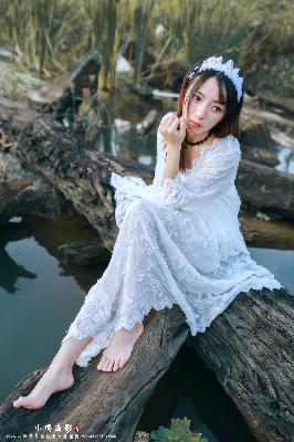 完美世界在线观看